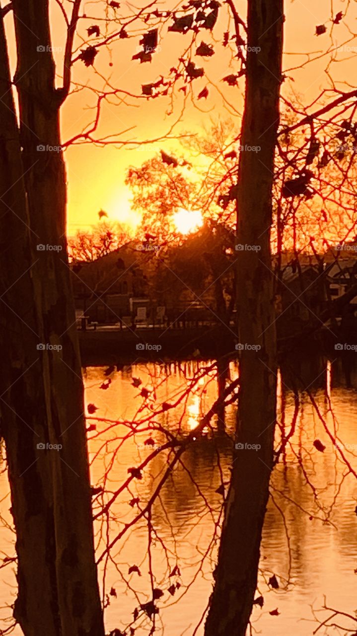 Setting Sun through trees on Lakebed reflections of shore Landscape on Lake Waters. colors casting on waters. 
