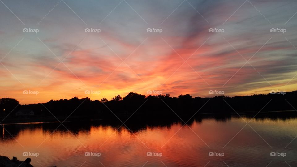 Silhouette of trees