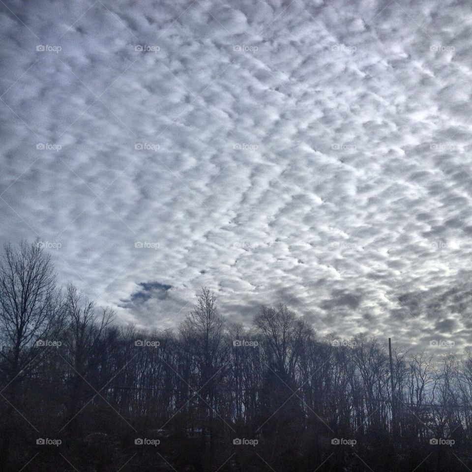 winter sky clouds trees by shigahon