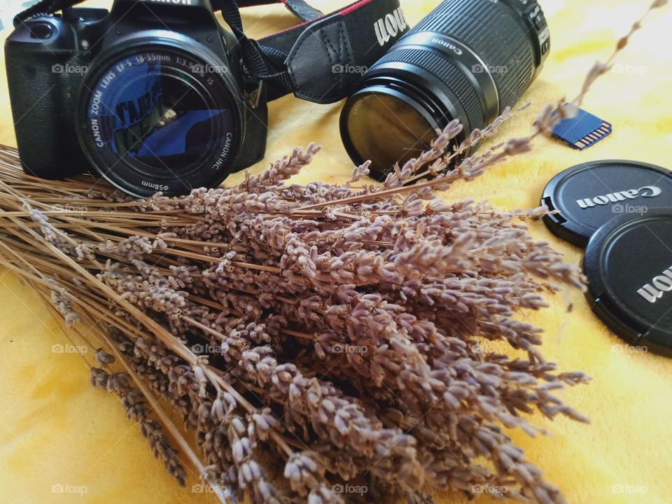 Camera in photography is a device for recording an image of an object on a light-sensitive surface, it is essentially a light-tight box with an aperture to admit light focused onto a sensitized film or plate.