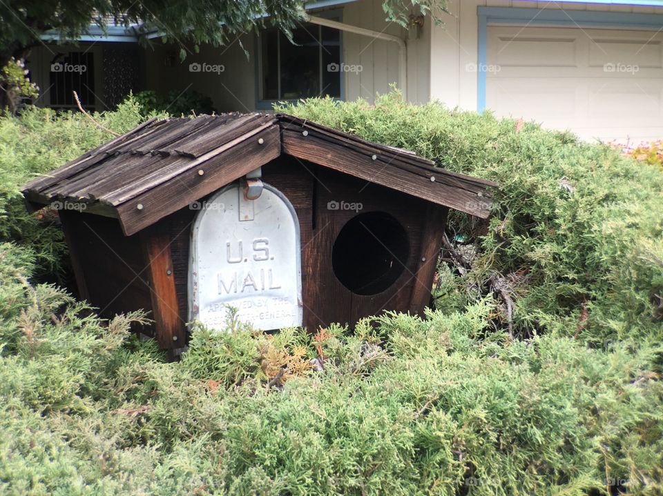 Unusual Mailbox 