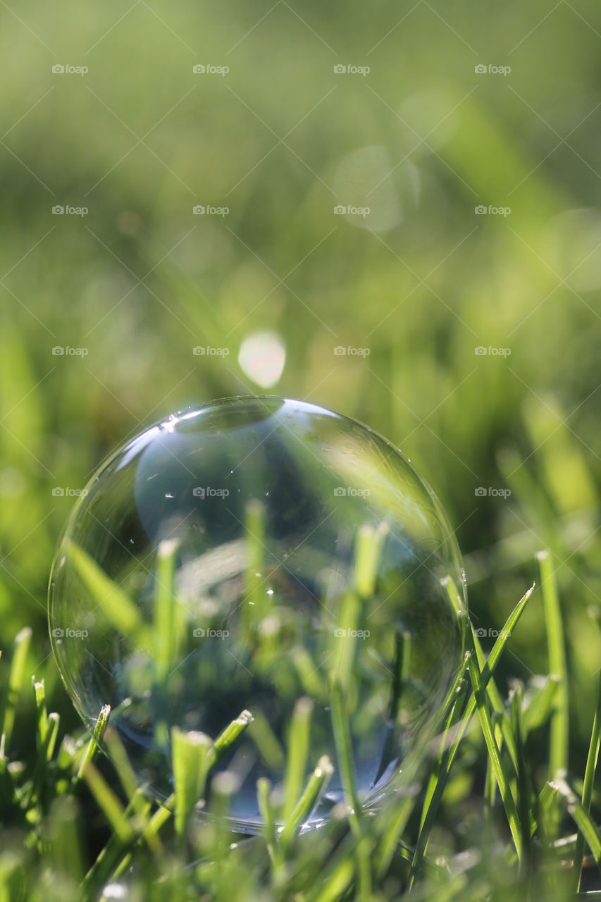 Close-up of bubble on grassy field