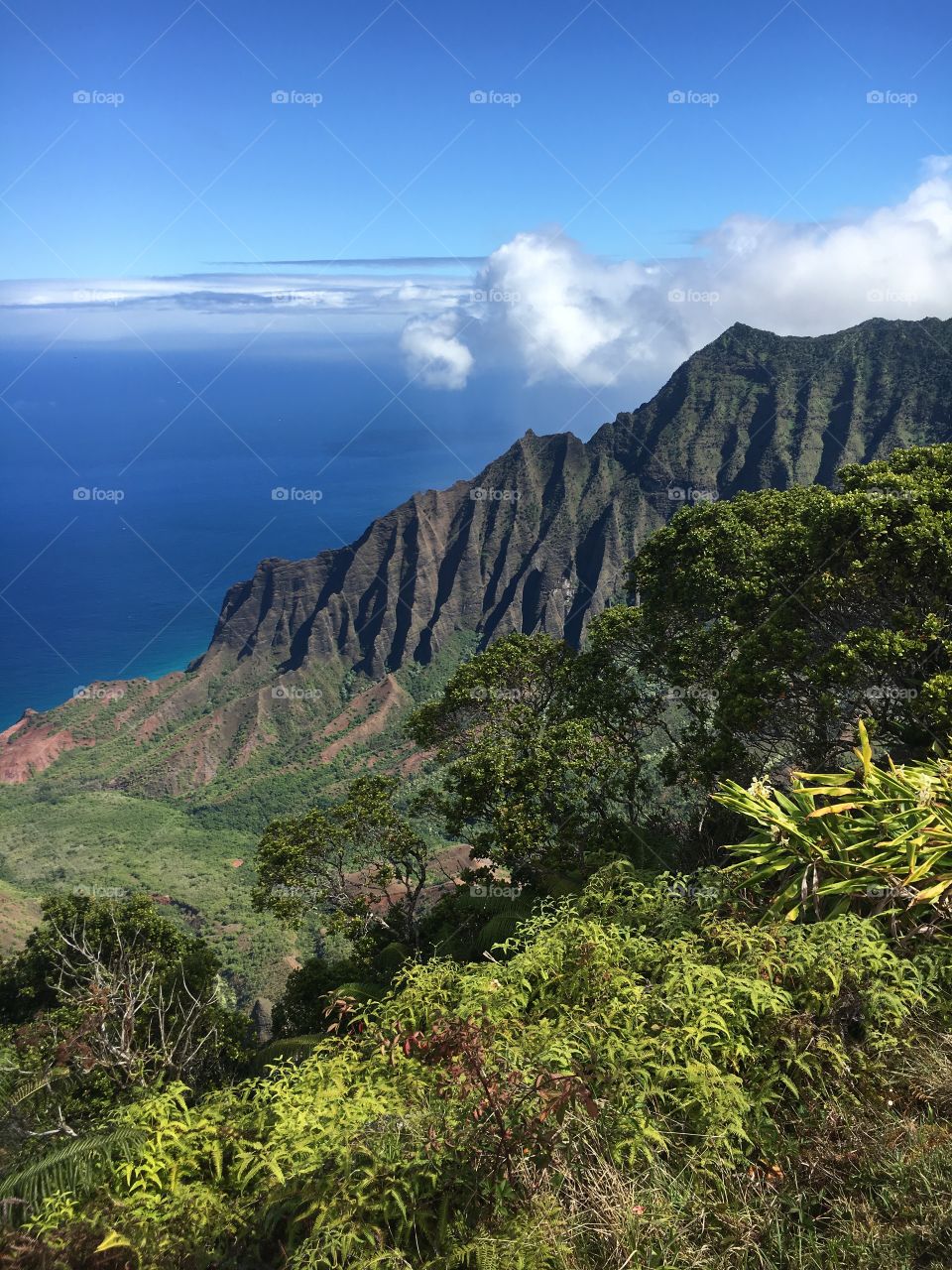 Views of the fluted ridges of the Kalalau range on the island of Kauai. Eroded mountaintops tower over the turquoise ocean below.