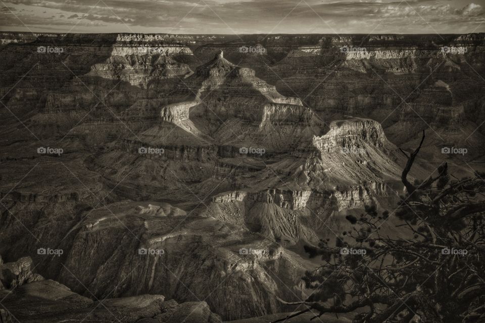 Temple of Grand Canyon 