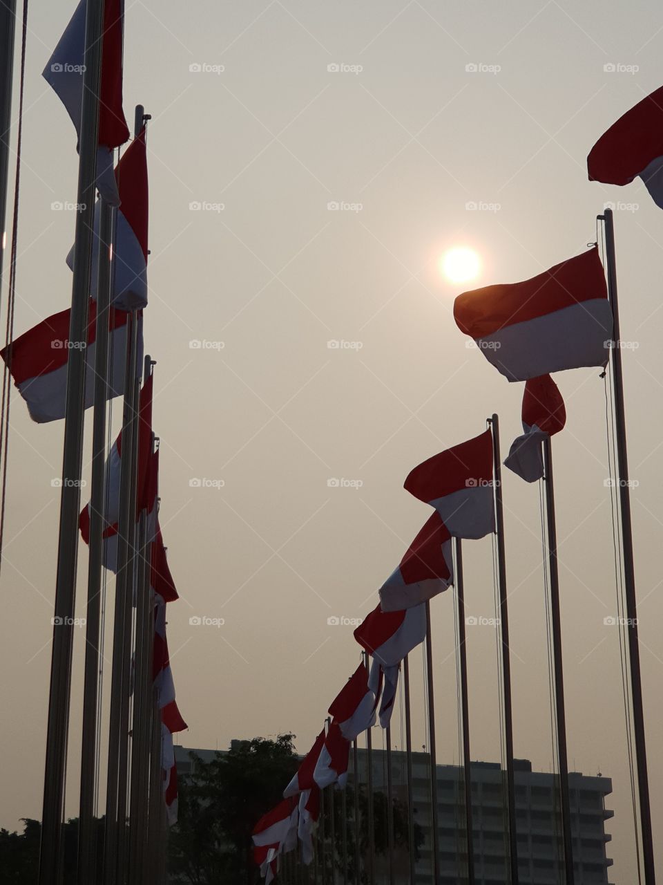 sun and the flags