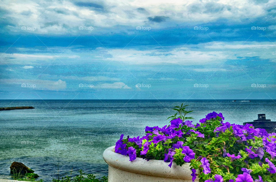 Bright paints of the summer 😀