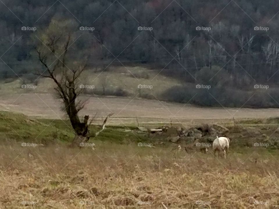 Driving the back Roads and enjoying everything around us