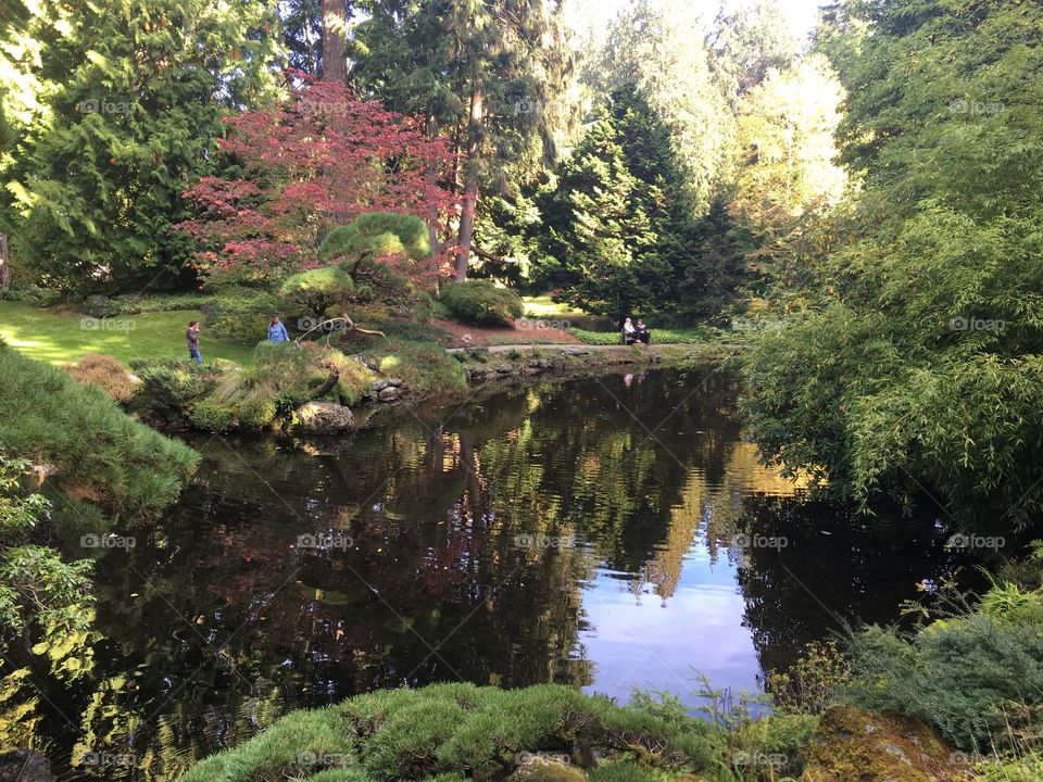 Autum Splendor at Bloedel Reserve 