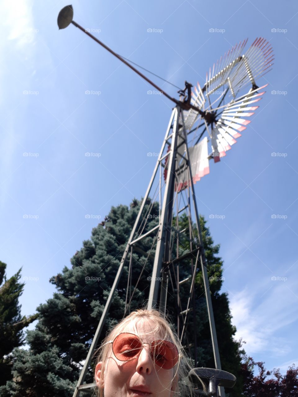 Windmill and Spruce on a Sunny Day
