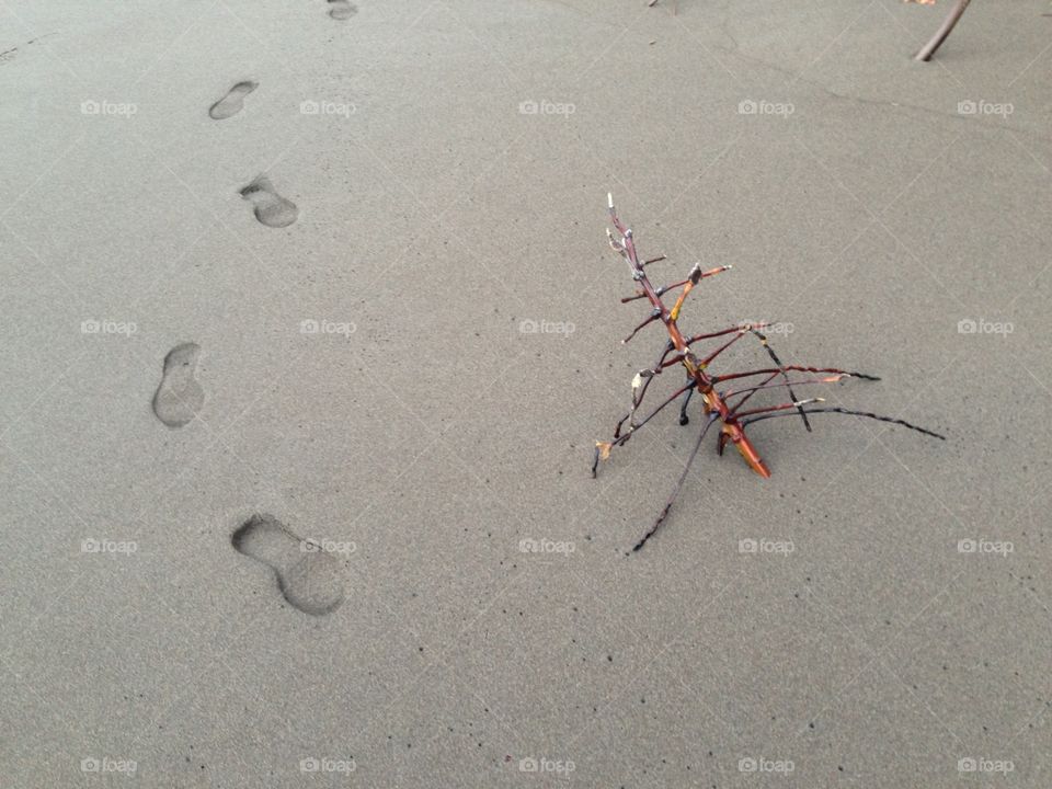 Black volcanic sand. Caribbean volcanic shore with foot steps