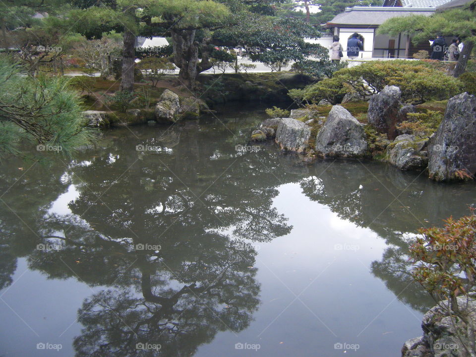 Temple garden's reflection.