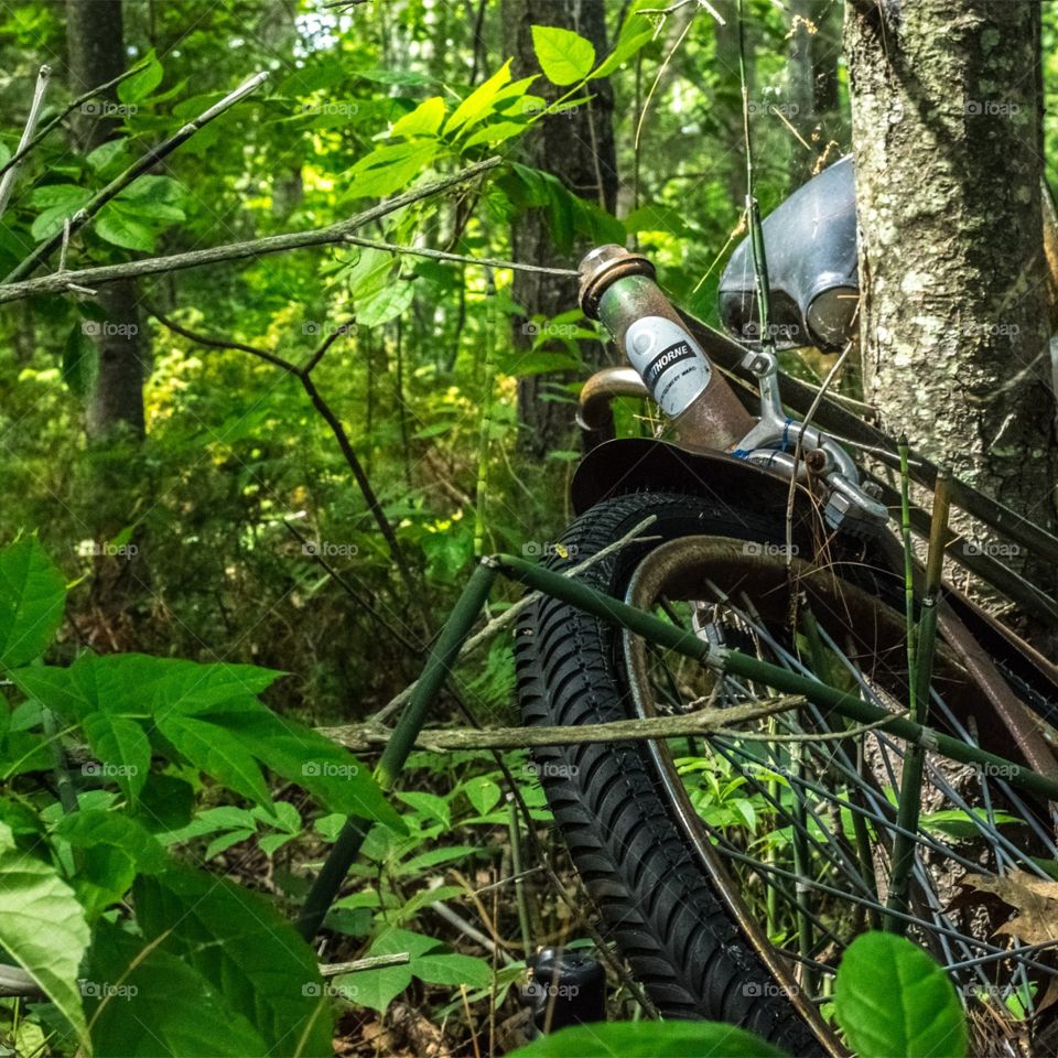 A bike that was abandoned in the woods of of Lake Huron In Michigan. The amount of weathering and oxidation on the bike as well as the growth through inidcated it has been there many years.