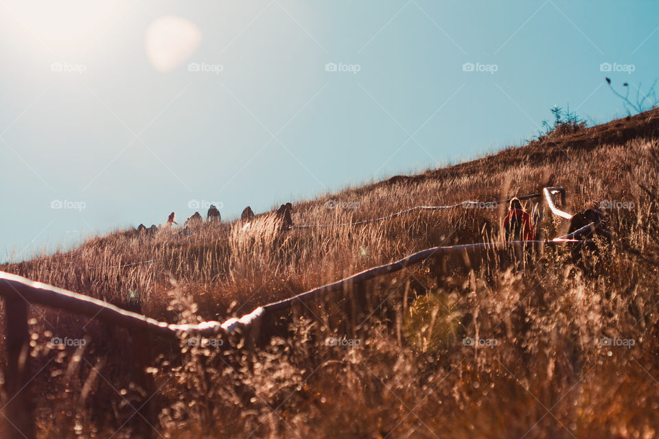 Autumn in The Bieszczady Mountains in Poland. Grass colored in many shades of brown. View of the hikers on a mountain trail from distance. Direct sunlight into the lens