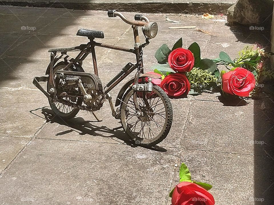 Bicycles and roses symbolize love