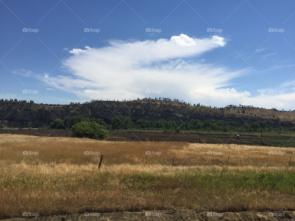 Landscape, No Person, Sky, Nature, Tree