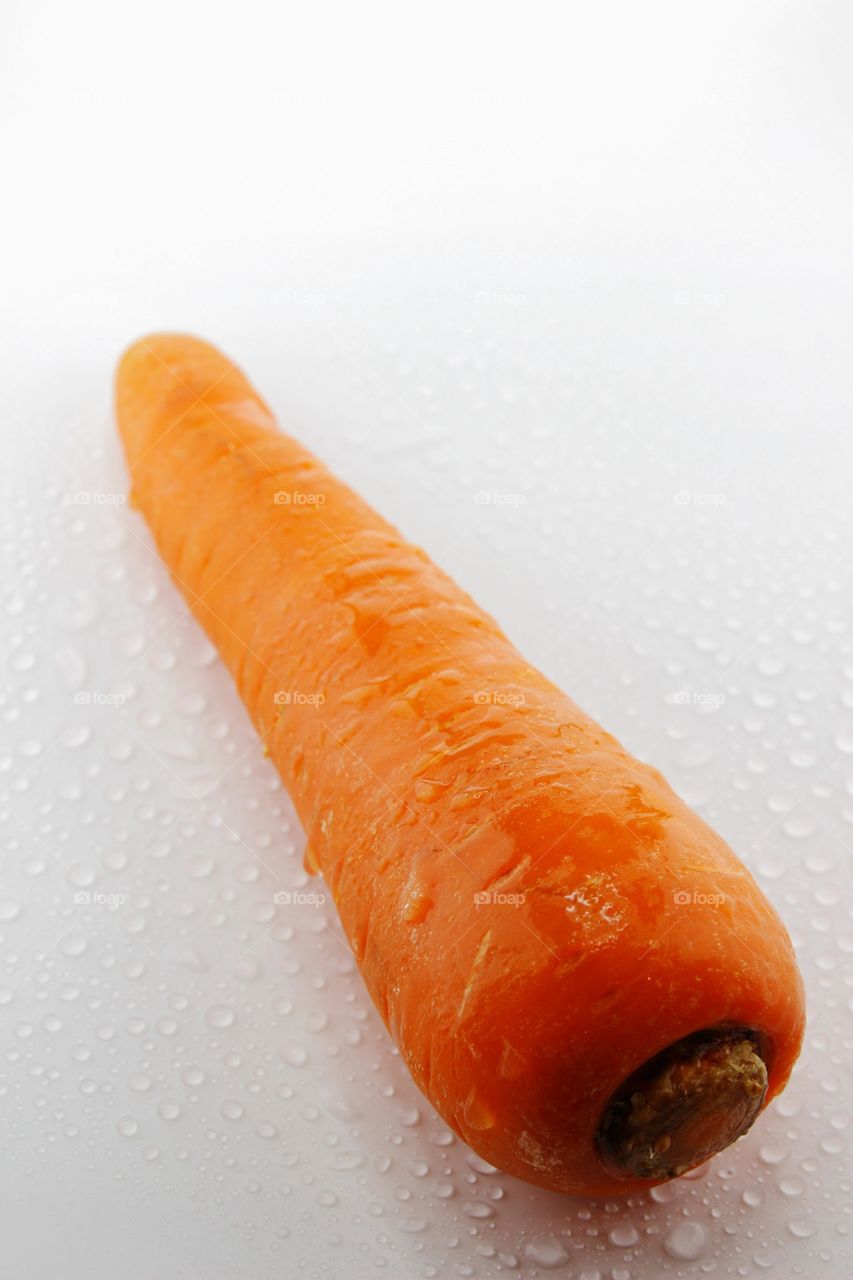 Carrot with white background . Carrot with white background 