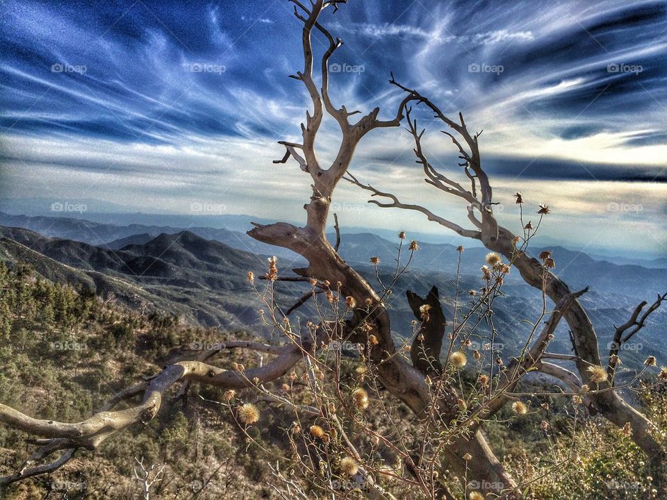 Hiking in Pinal mountains AZ