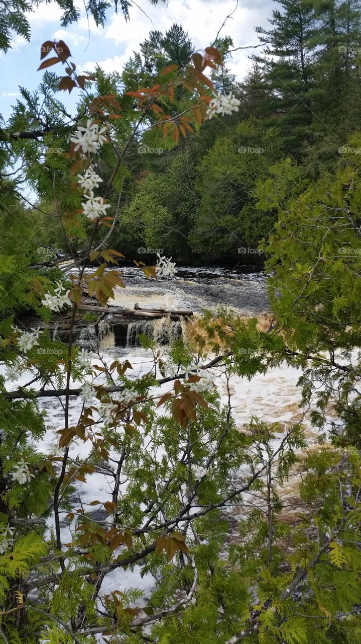 Michigan Waterfall