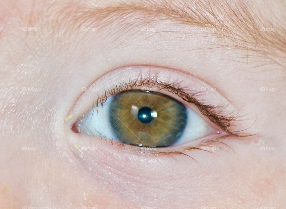 Macro shot of human eyes