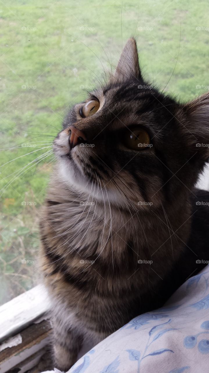 rallo. loving the window