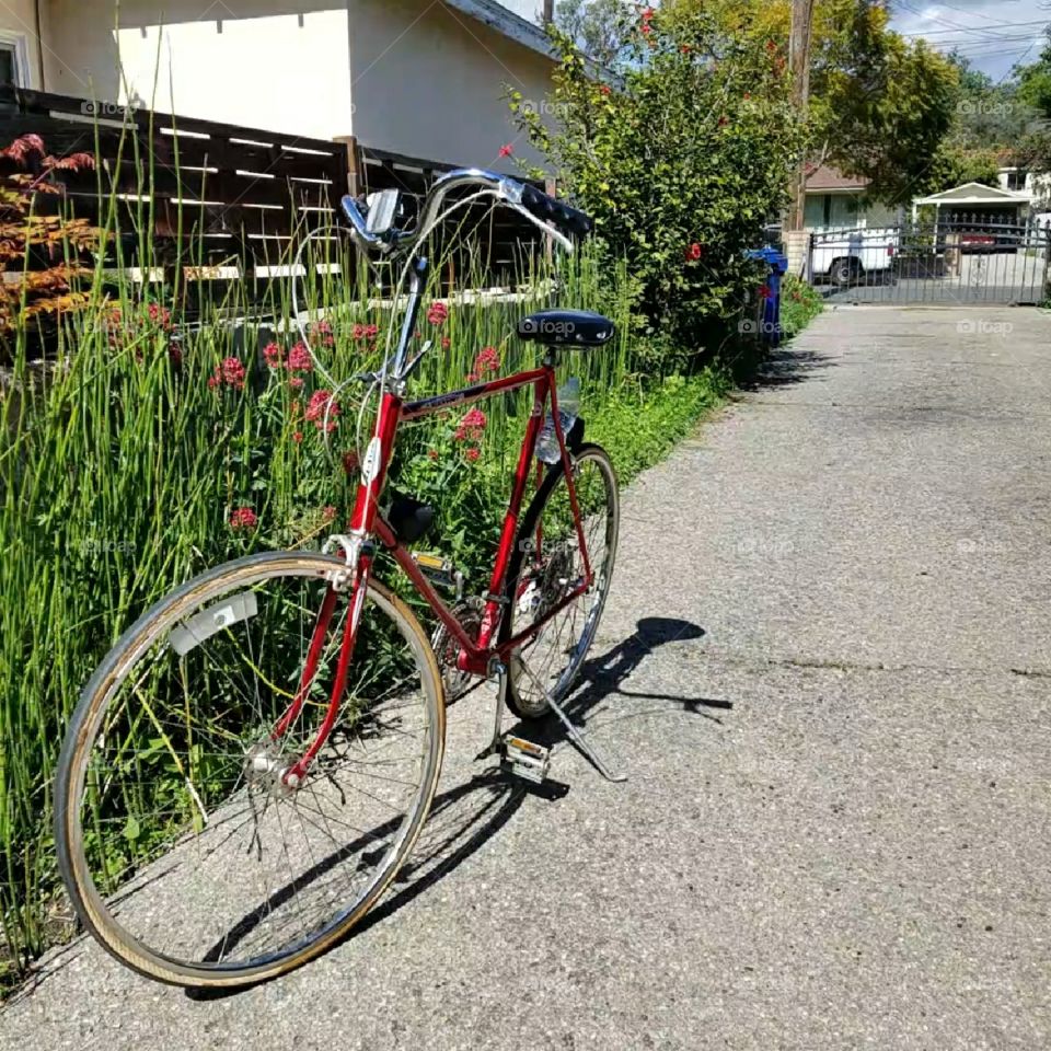 schwinn varsity tourist