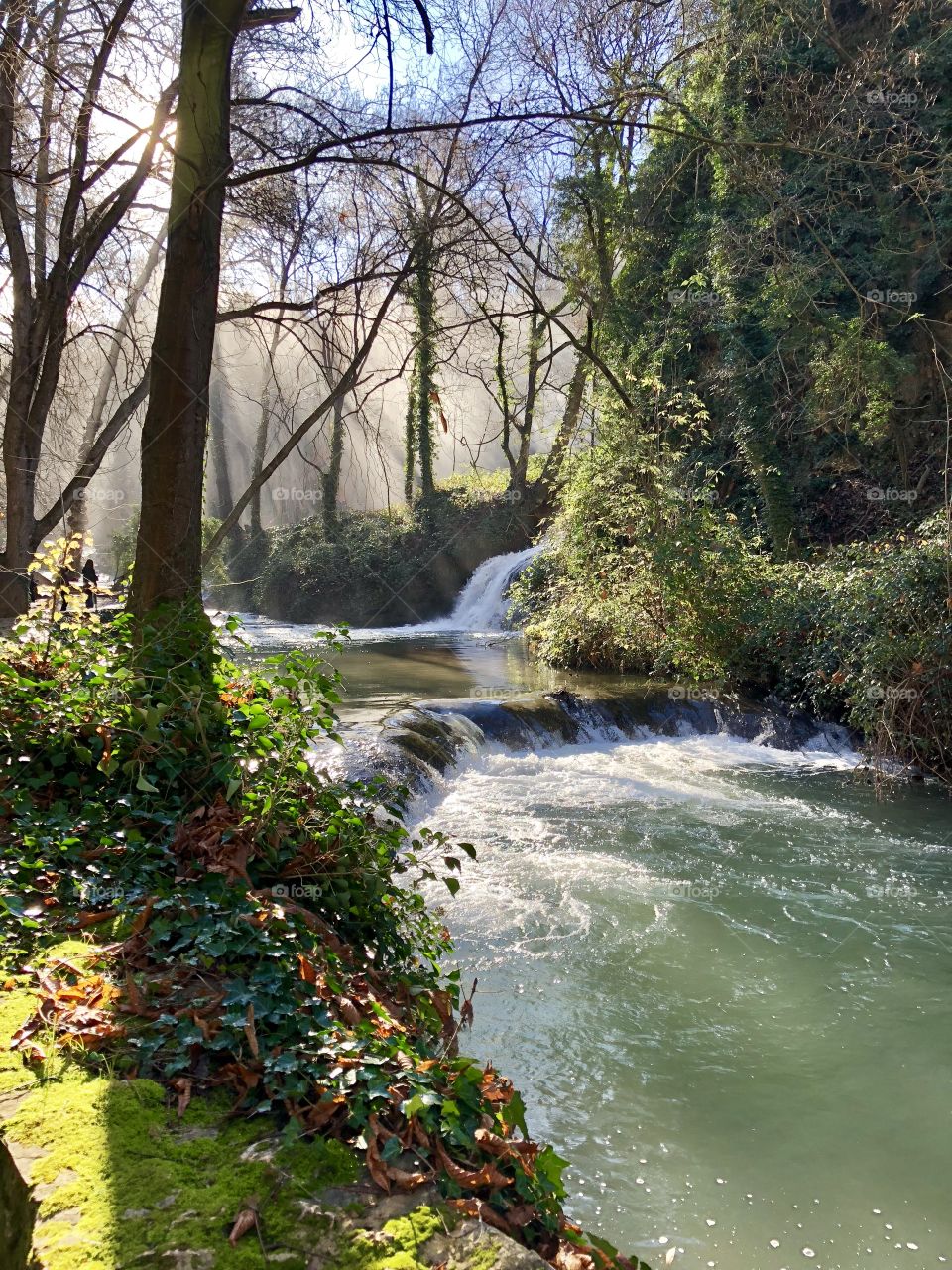 A crisp, beautiful spring morning at the base of a lush waterfall where the water rushing over centuries year old formations is perfectly captured. The morning fog is just lifting out of the trees to reveal the welcome sunshine. 