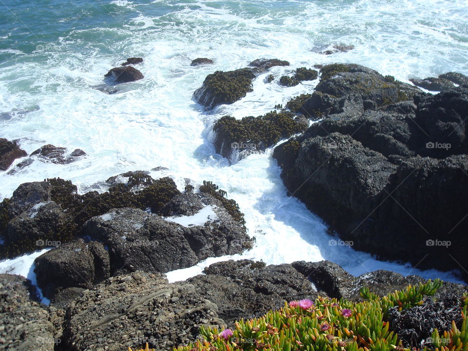 surf at pidgin point