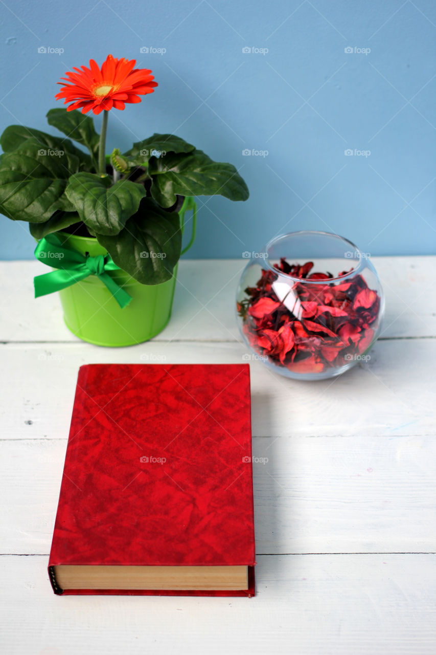 Flower in a pot, red book and a glass vase with rose petals on white table