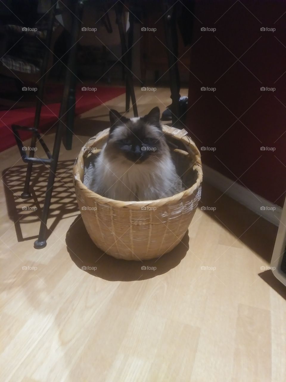 Basket case