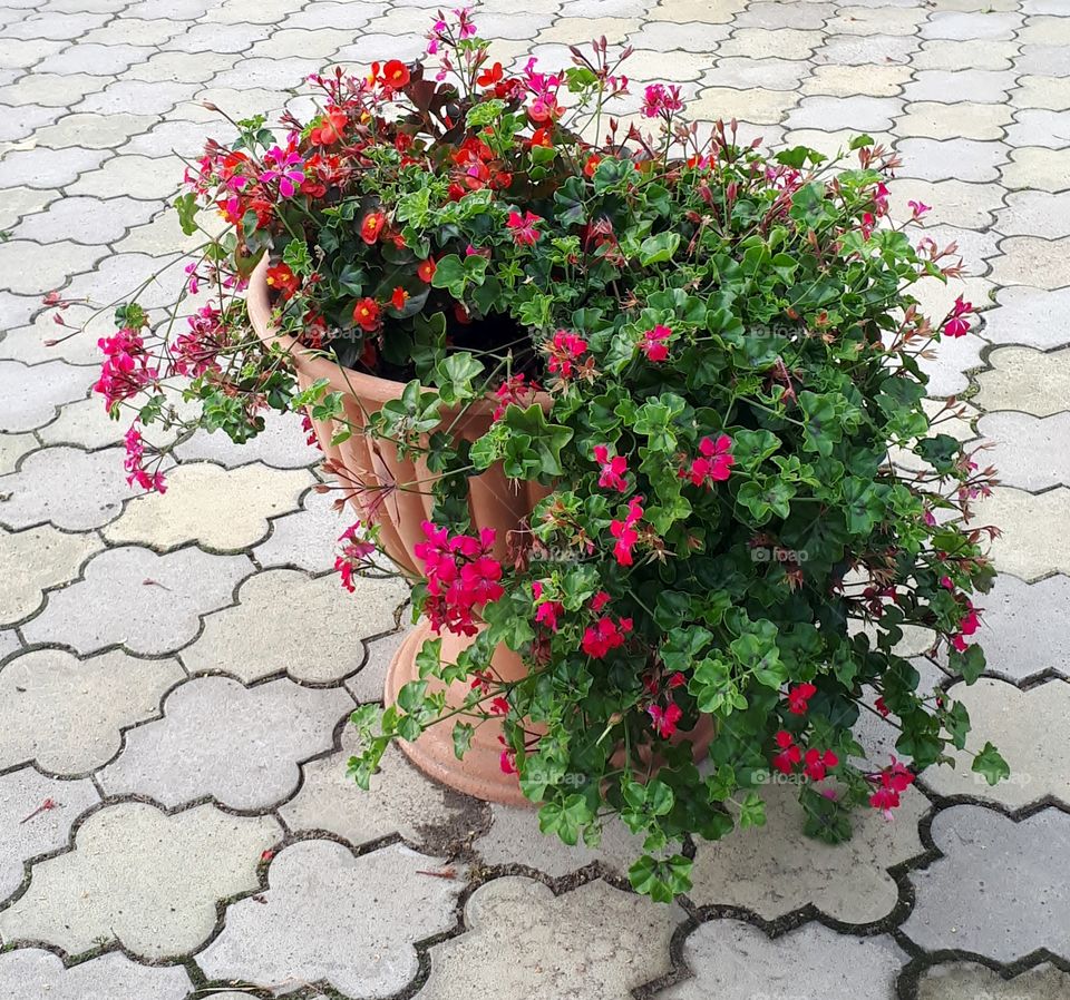 Street flowerpots with flowers