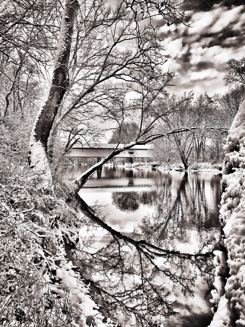 Black and white view on the river. 