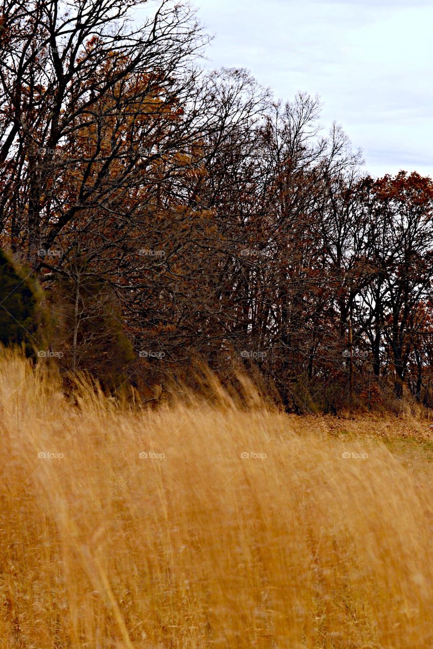 Prairie life is a good life