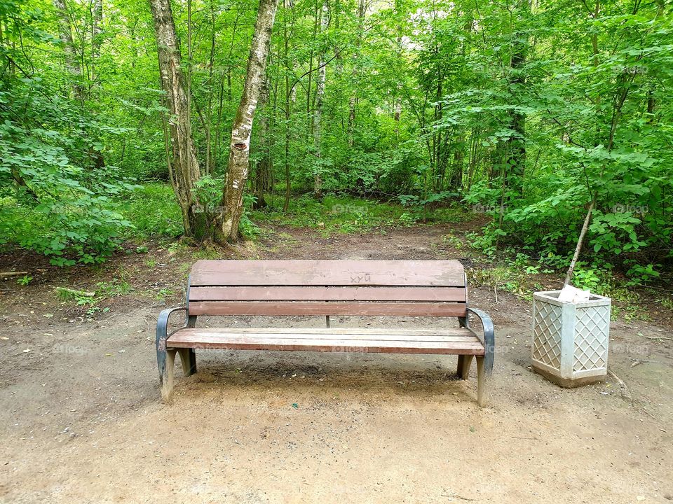 старая скамейка в парке