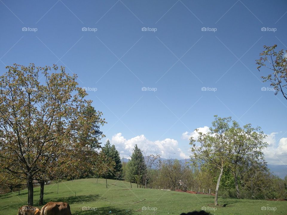 true natural photography 
📸 Muneeb bhat