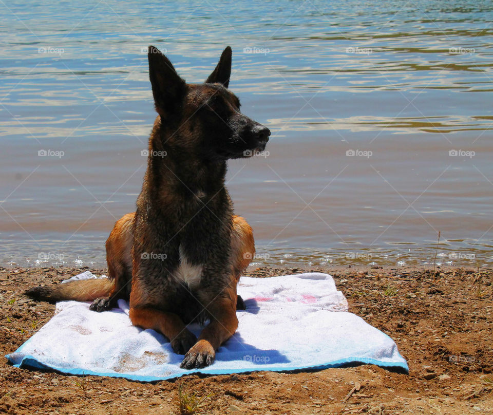 Relaxing day at the beach 