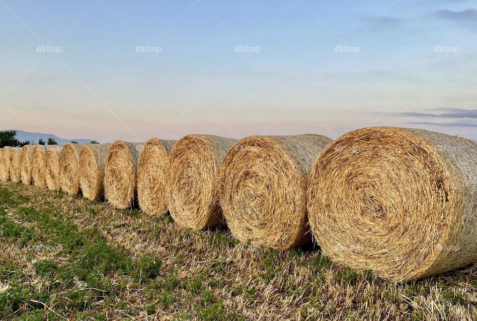 Multiverse hay bales