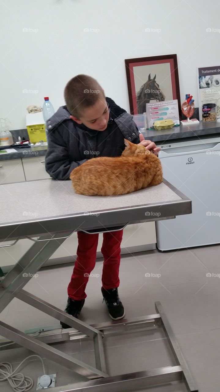 Mon chat et mon fils chez le veterinaire