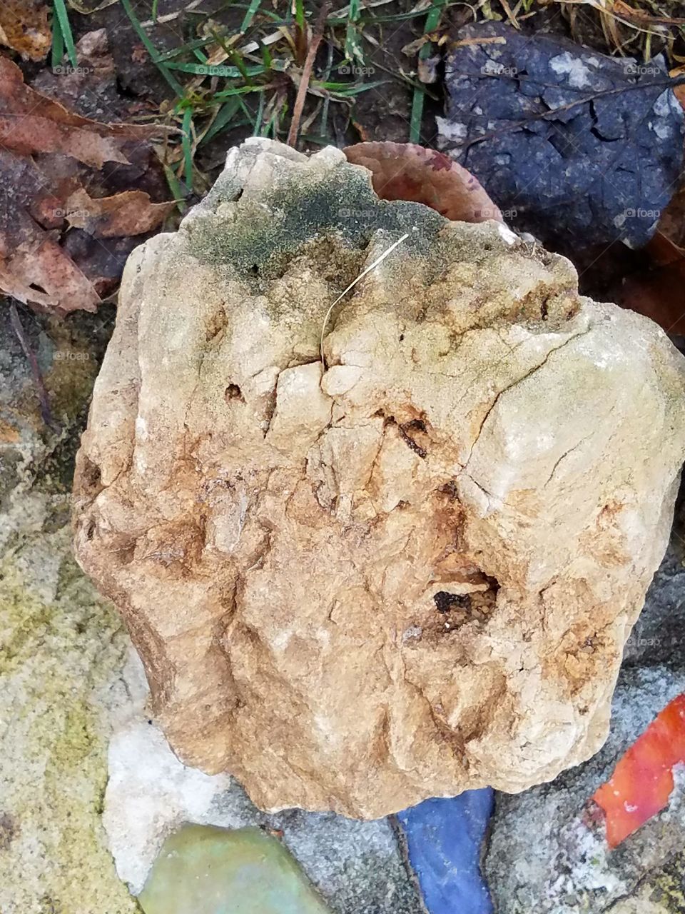 What can we Really see in a Rock