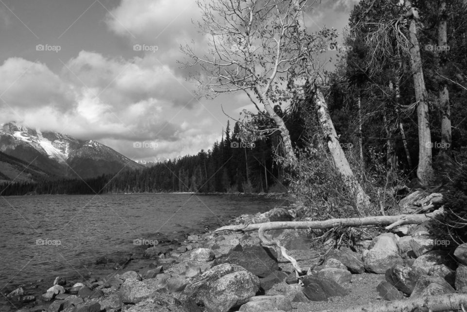 A view from the rocky beach looking towards the mountains in the Grand Teton’s!