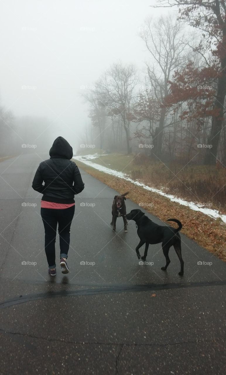 walking with my cute, playful pups in the fog