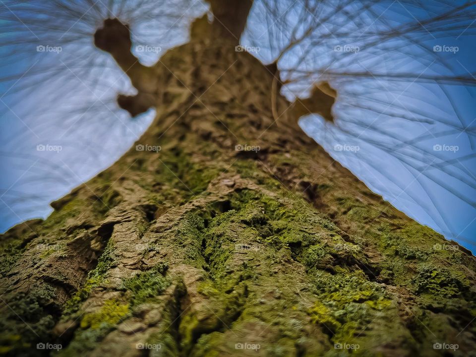 Edited version, more color