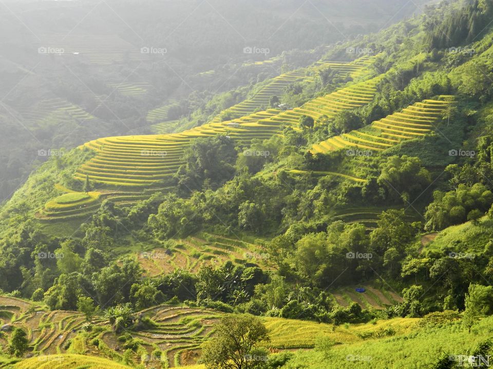 Hoàng Su Phì District.