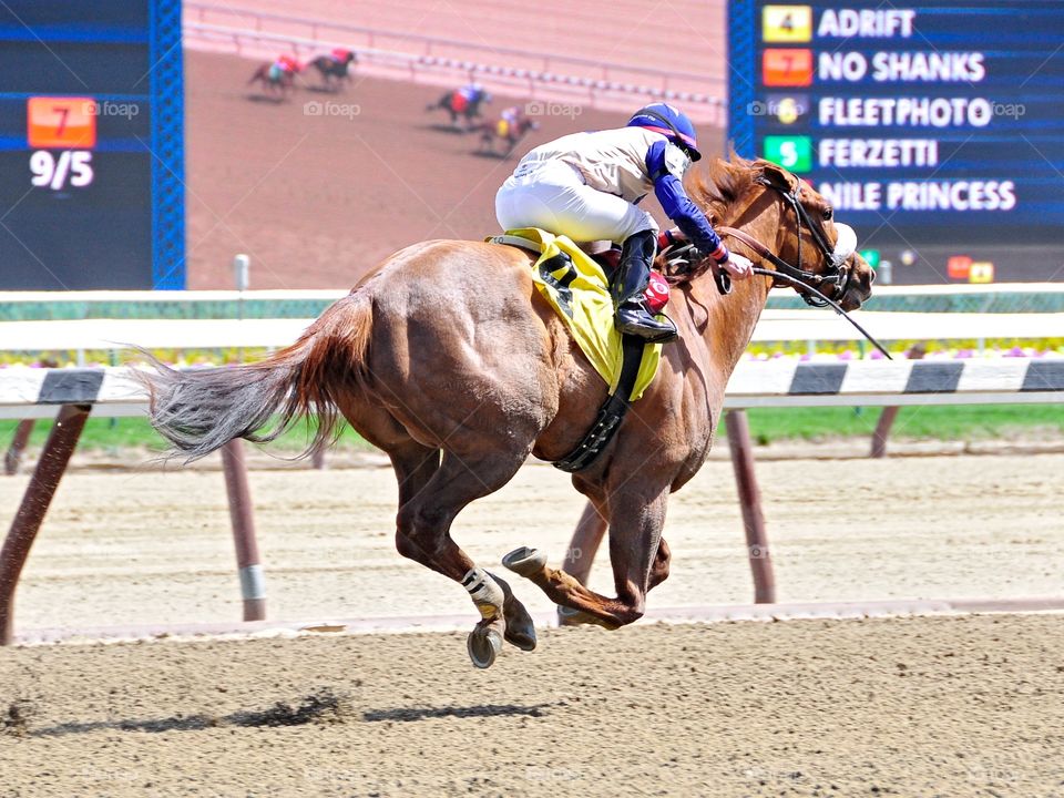 Racing from Aqueduct. Irad Ortjz Jr on his way to the finish line with this quick chestnut filly in her debut for trainer Rudy Rodriguez. 
Gz