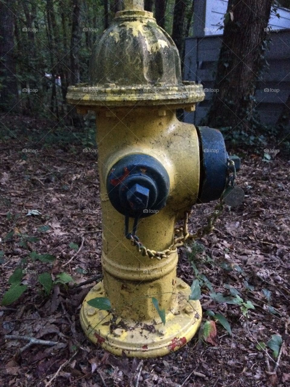 Fire hydrant