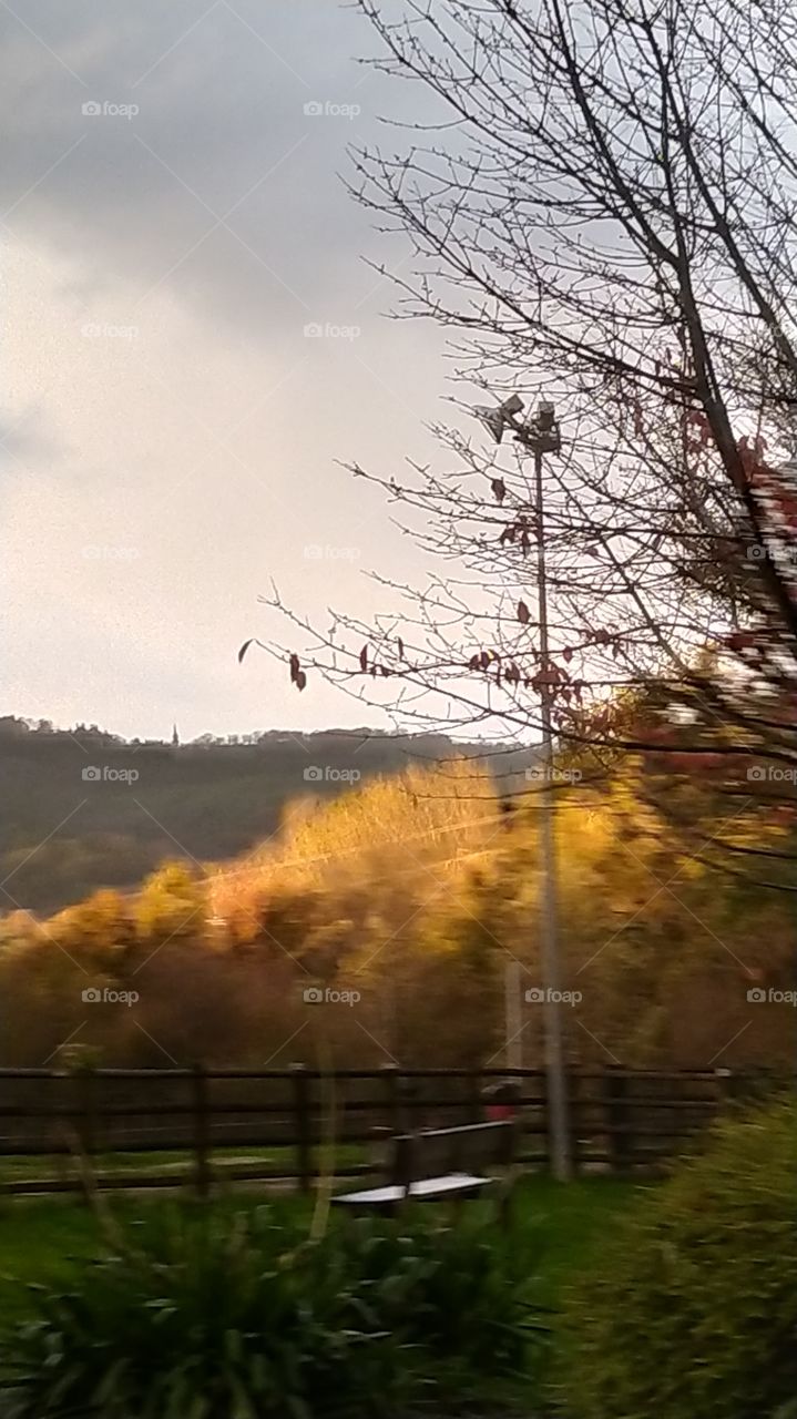 Un gran día de otoño frio.