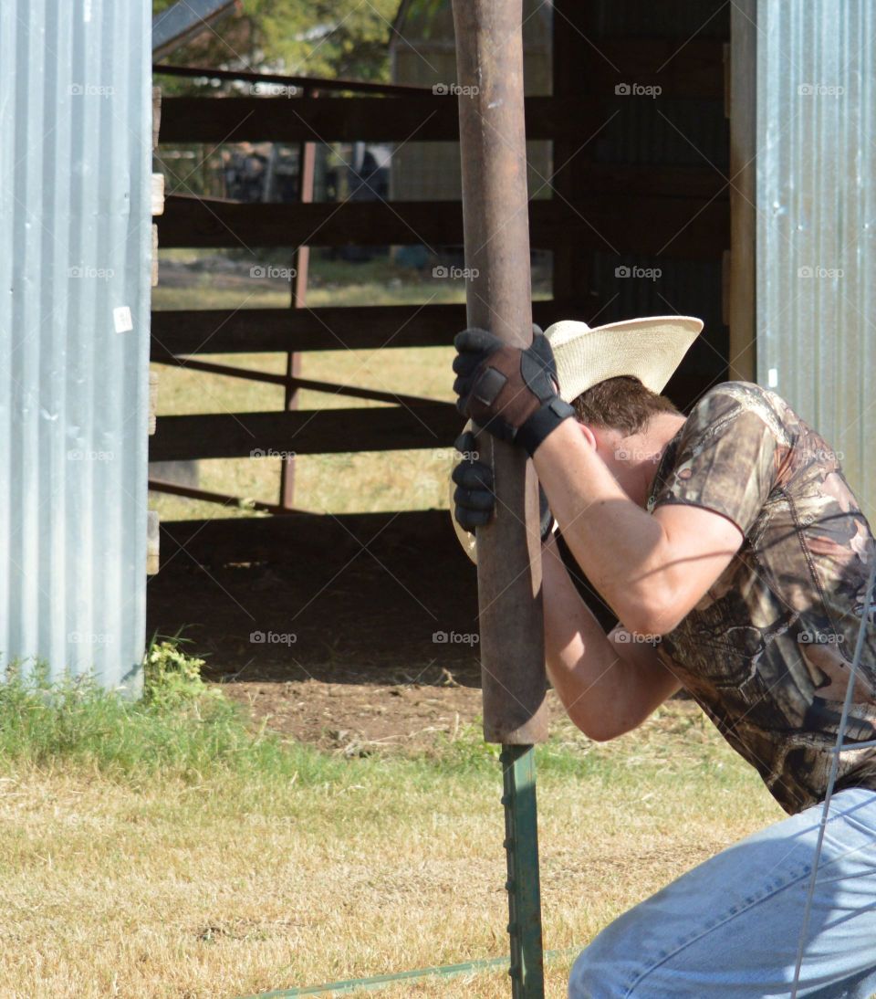 Young cowboy building fence and driving fence posts by hand. 
