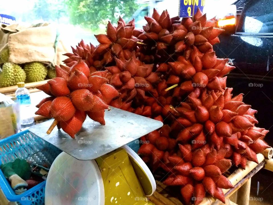sakacca. snake fruit. Thai fruit.