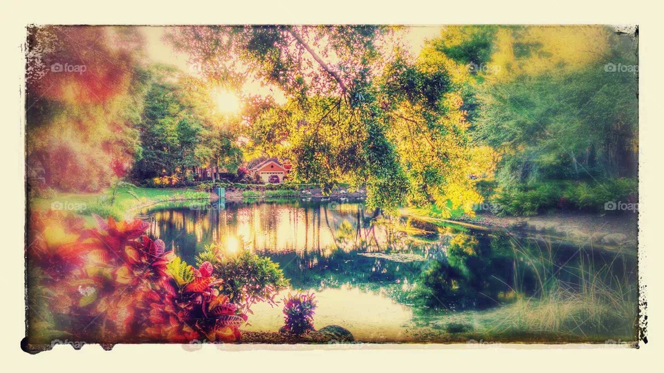 Nature