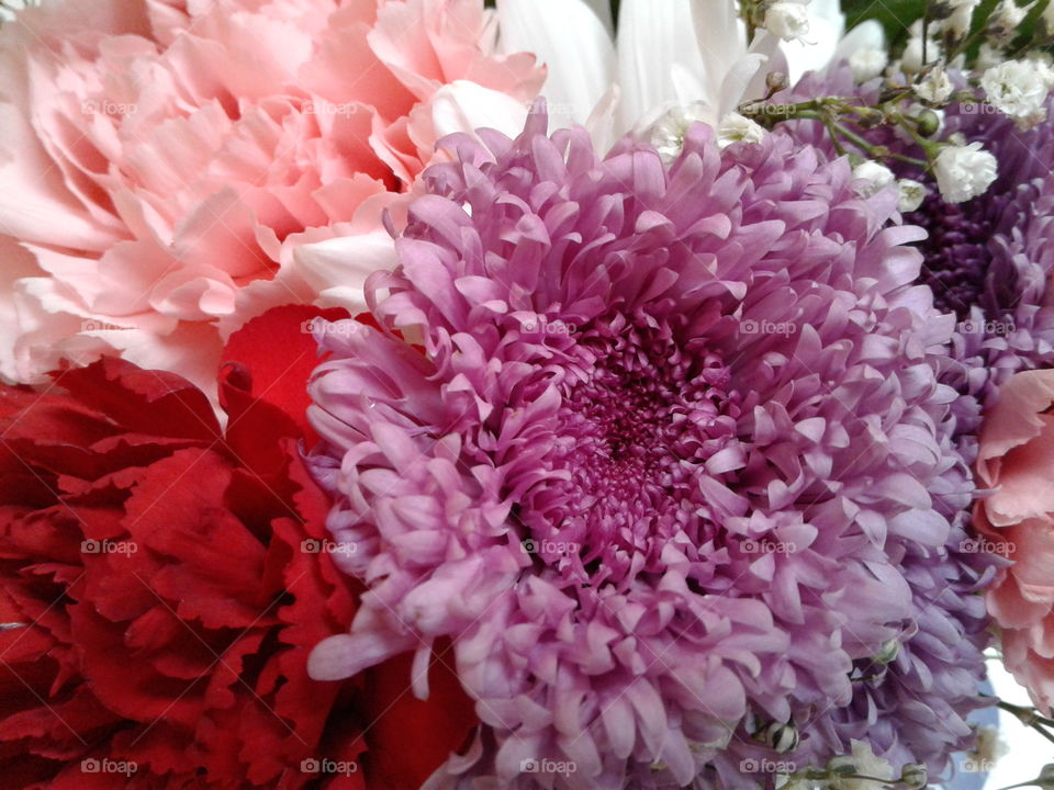 flower bouquet close-up