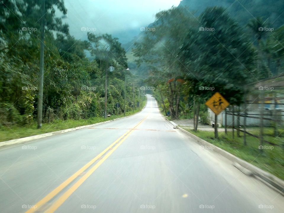 Road, Asphalt, Highway, Guidance, No Person